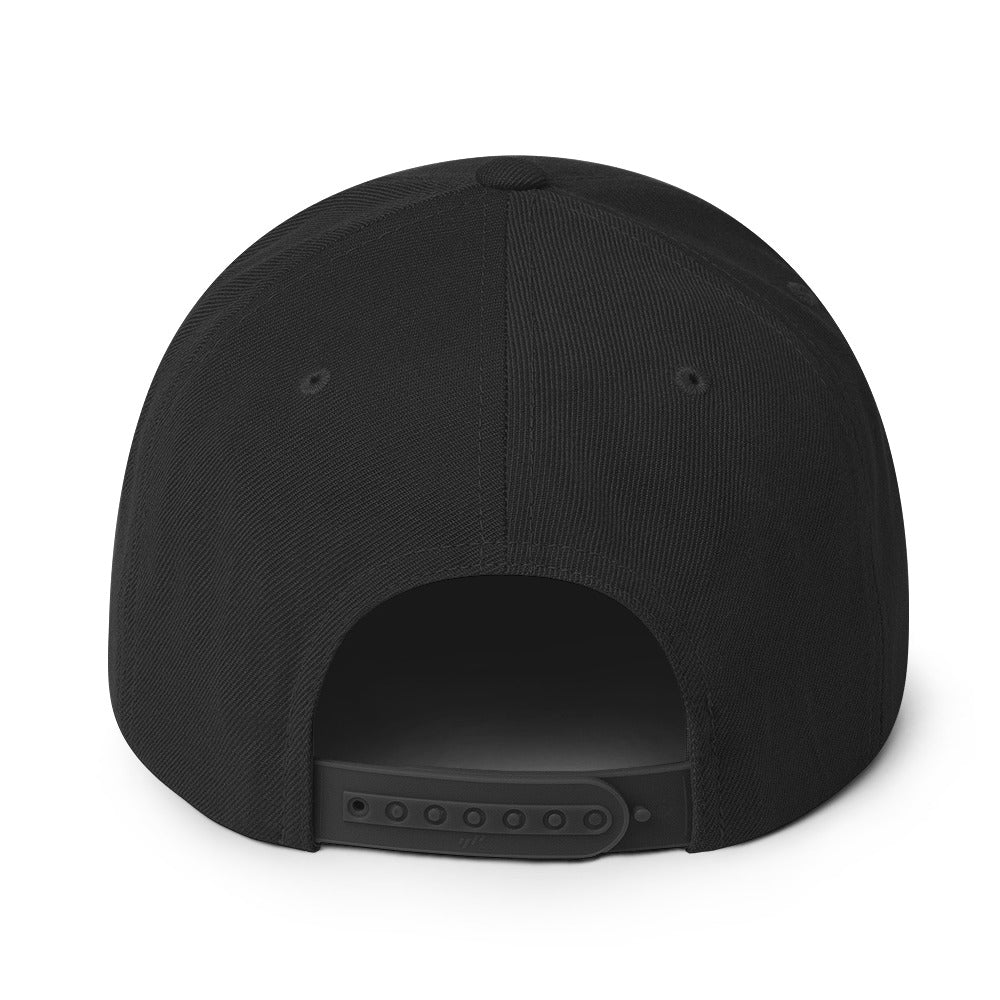 Bitcoin Mentor Snapback Hat