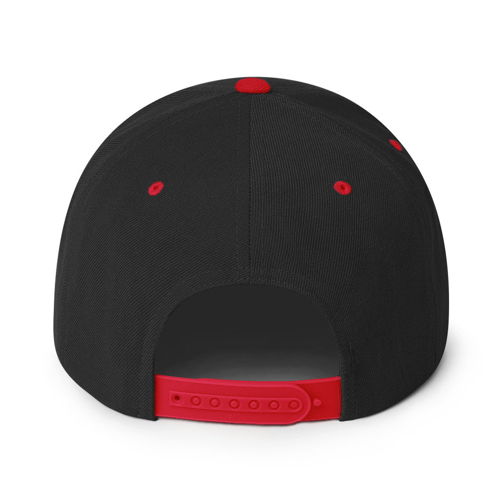 Bitcoin Mentor Snapback Hat