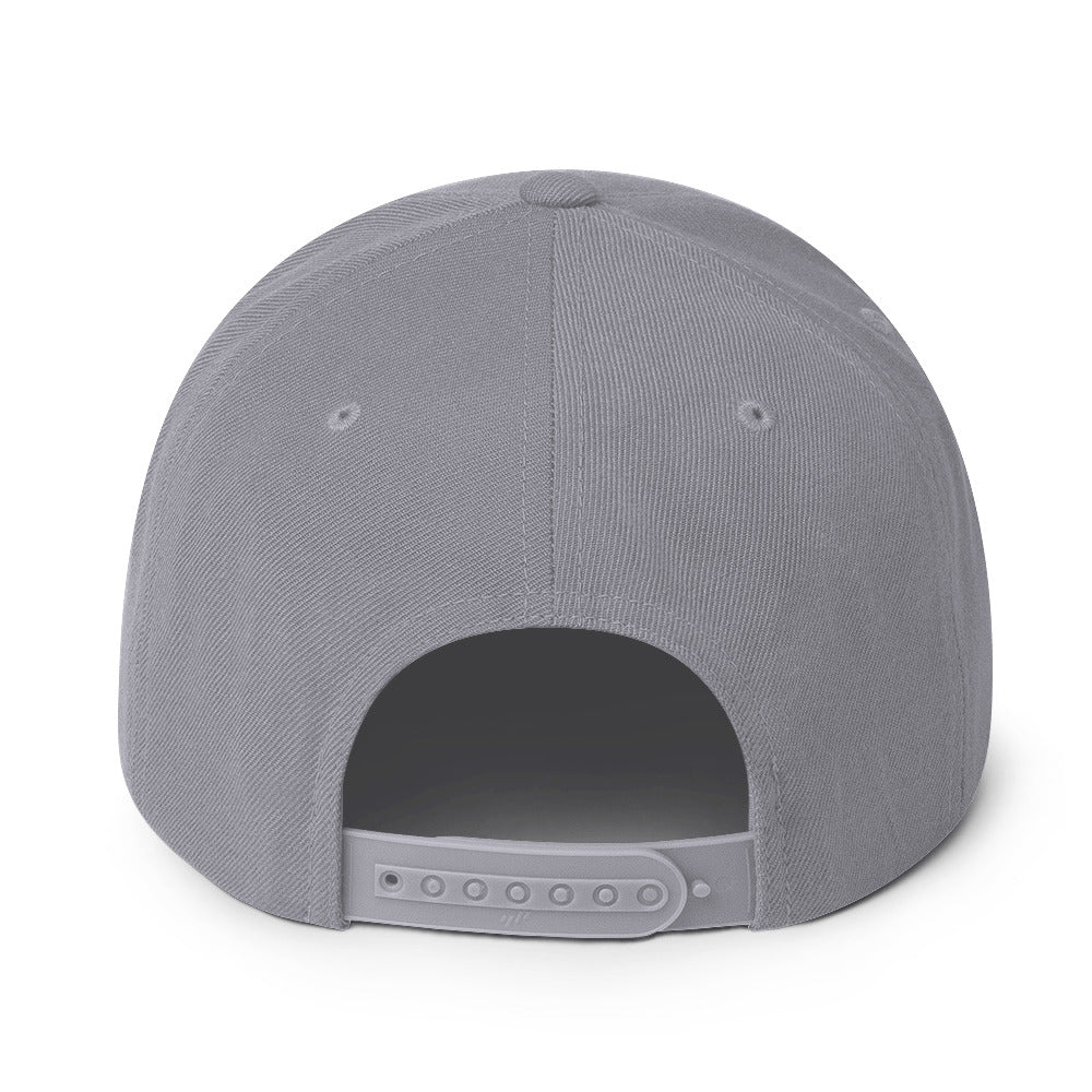Bitcoin Mentor Snapback Hat